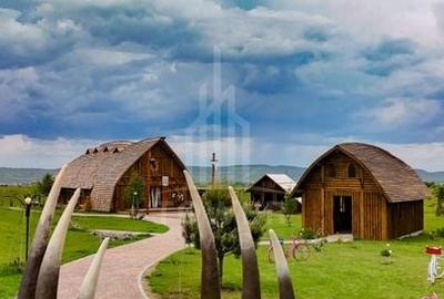 Oportunitate de investiție-Parc distracții de vânzare| Valea Avrigului - 1