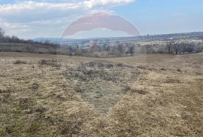 Teren Construcții intravilan de 4008 mp, în Dumbrăveni - 4