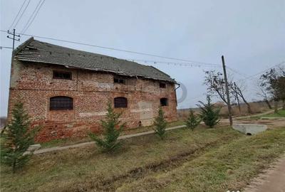Casă cu 1 camere cu Teren 1798 Mp în Ciumeghiu - 3
