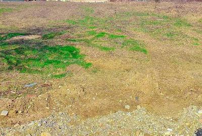 Teren Intravilan Smeura Arges - 3