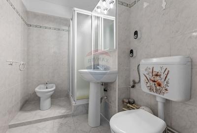 Apartament cu 3 camere de inchiriat in zona Malul Muresului - 9