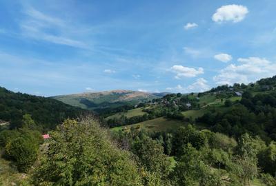 Teren de 10000 mp, în Răchițele - 7