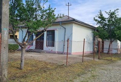 Casă cu 3 camere în Teslui - 6