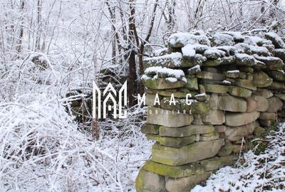 Teren Construcții intravilan de 20000 mp, în Dângești - 26