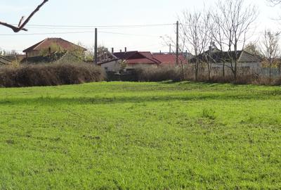 Teren cu casa, 3600mp, 4 camere de vanzare in Nicolae Balcescu - 3