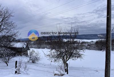 Teren Com. Negresti- jud. Neamt - 4