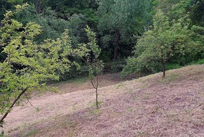 Casă cu 2 camere cu Teren 720 Mp în Bădeni - 5