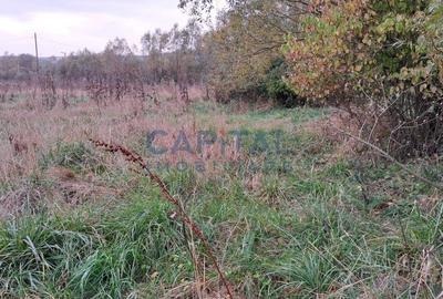 Teren plan 4800 mp cu casa demolabila, centru Corpadea, Apahida - 3