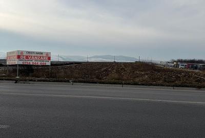 Teren de 10000 mp, în Nicolae Bălcescu - 9