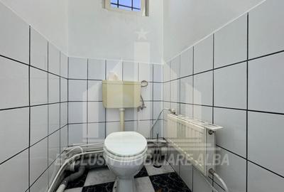 Spațiu comercial, de 85 mp, în Cetate - 6