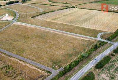 Teren Construcții intravilan de 1500 mp, în Moșnița Nouă - 6