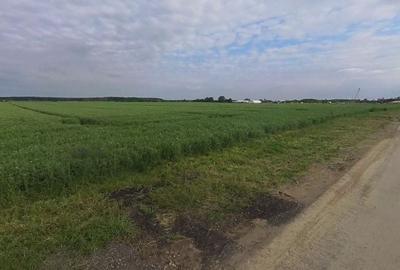 25000 mp intravilan-acces A3- deschidere 50 ml, asfalt si utilitati - 2