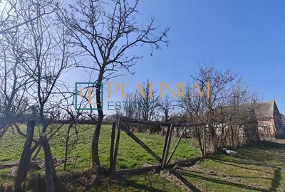 Casă individuală cu 2 camere cu Teren 5003 Mp în Cebza - 10