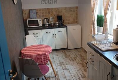 Studio 34 mp utili terasa 8 mp si loc de parcare in zona Centrala - 7