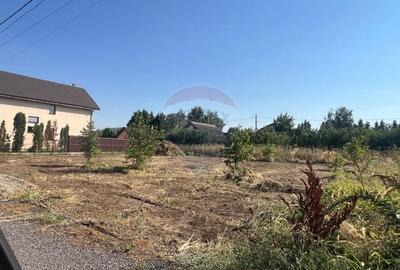 Teren intravilan de vanzare - Comuna Berceni, Strada Zanelor Teren intravilan de vanzare - Comuna Berceni, Strada Zanelor - 1