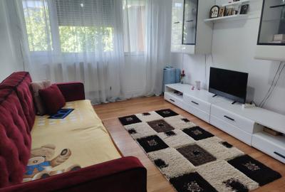 Apartament cu 2 camere semidecomandat în Carpați 1 - 16