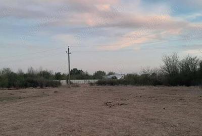 Teren intravilan de inchiriat comuna 1 Decembrie, jud Ilfov - 4