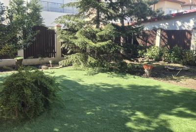 Casă cu 5 camere cu Canalizare în Iancu Nicolae - 2