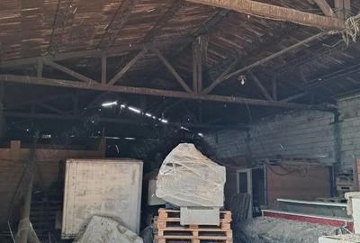 Spațiu comercial, de 392 mp, în Orțișoara - 1