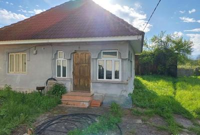 Casa, teren intravilan 3025 mp, sat Ciuperceni, pret excelent - 2