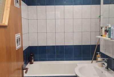 Apartament cu 2 camere decomandat, mobilat în Gorjului - 13