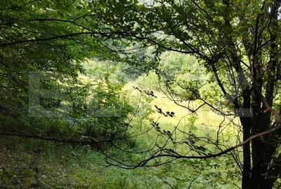 Teren de 70290 mp, în Meteș - 2