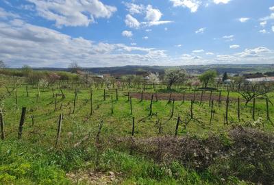 Spațiu comercial, în Dacia - 3