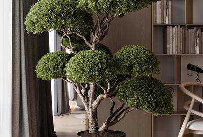 Proiect boutique zona Unirii– disponibilitate limitată la 2 camere - 7