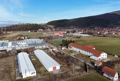 Teren de 1729 mp, în Teliu - 5