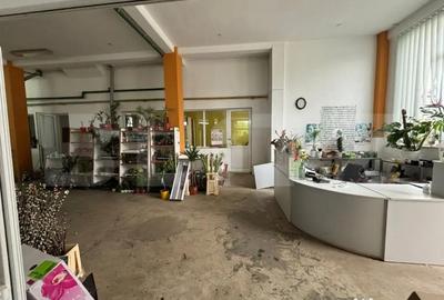 Spațiu comercial, de 330 mp, în Central - 2