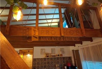 EXCLUSIVITATE! Cabana cu o priveliste unica in Niscov - 15