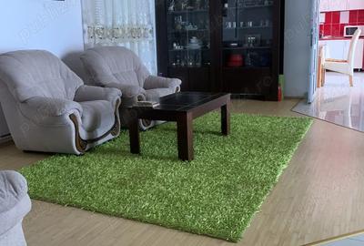 Imobil localitatea Cricau jud.Alba - 2