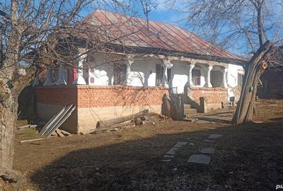 Gospodarie rurala, casa, terenuri - 5