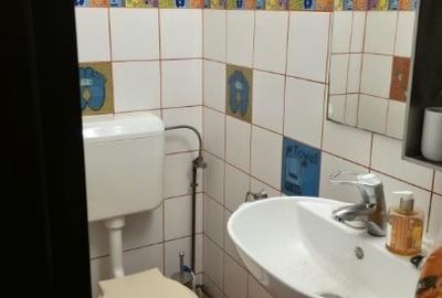 Apartament cu 3 camere decomandat, mobilat în Dristor - 10