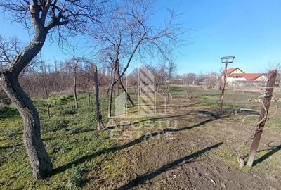 Casă cu 5 camere cu Teren 2158 Mp în Freidorf - 13