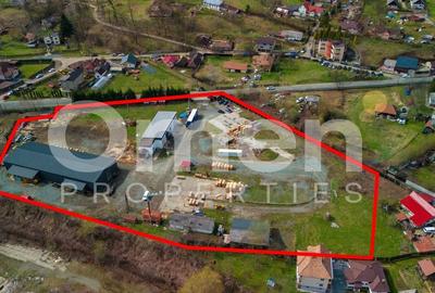 Teren industrial cu hale de prelucrare lemn/cherestea