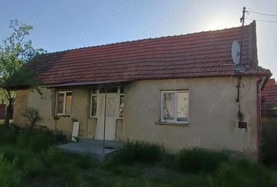Vand casa in satul Derni?oara,jud. Bihor - 2