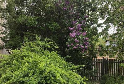 Casă cu 4 camere în Poiana - 7