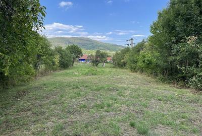 Spațiu comercial, în Târgu Ocna - 4