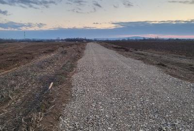 Teren de 500 mp, în Oșorhei - 5