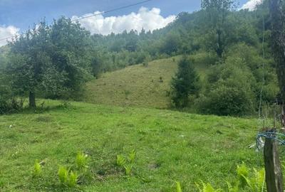 Teren 2 hectare pe Valea Ariesului, zona Scarita-Belioara, pret oportun 2 Eur/mp - 13