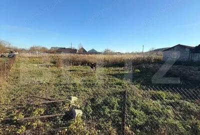 Casa batraneasca, 50 mp si teren intravilan 4900 mp, Udesti - 3