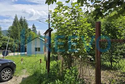 Teren Izvorul Muntelui, Bicaz, la baza traseelor de la Varful Toaca - 6