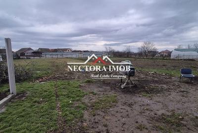 Casă cu 3 camere decomandat cu Teren 719 Mp în Nojorid - 8