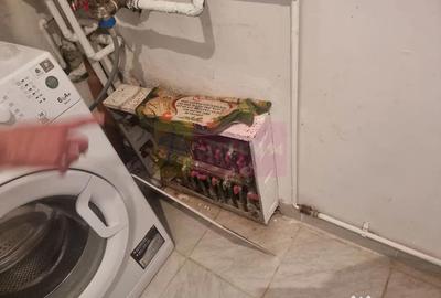 Casă cu 5 camere cu Teren 2875 Mp în Sadina - 2