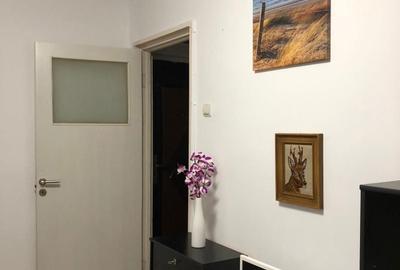Garsonieră semidecomandată în Drumul Taberei - 8