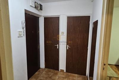 Apartament 2 camere, decomandat, vis a vis de parcul Tineretului - 9