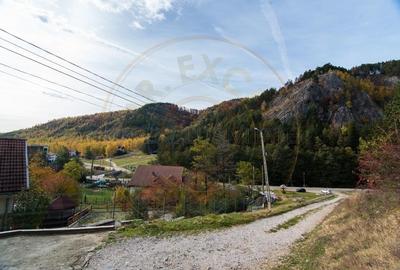 VANZARE / SCHIMB  PENSIUNE in zona de munte, langa Pestera Muierilor - 2