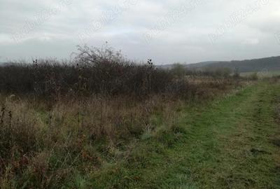 Teren arabil , fana? , livada langa padure situate in Turda? ?i Le?nic - 2