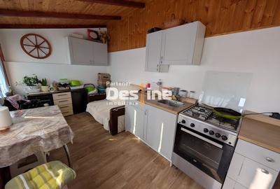Casa individuala D+P 145 mp si 737 mp teren mobilata si utilata - Bucium Plopi - 12